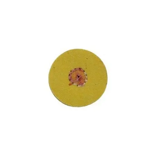 Mini Loose Yellow Muslin Buffs